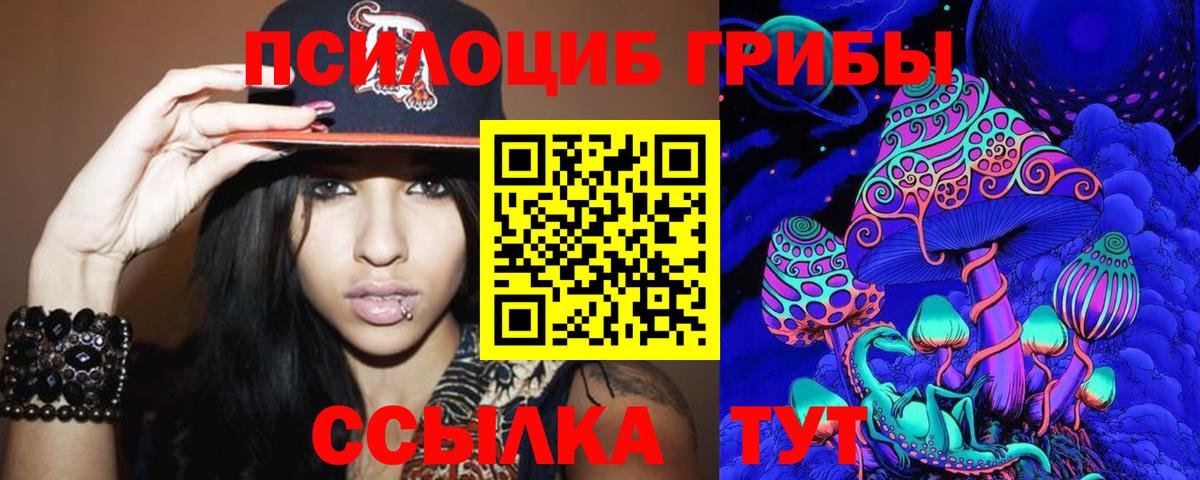 Галлюциногенные грибы Psilocybine cubensis  Вход с VPN  Пенза  Псилоцибиновые грибы Magic Shrooms 